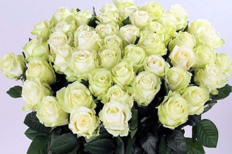 Hollandiából importálják a legtöbb virágot Ukrajnába