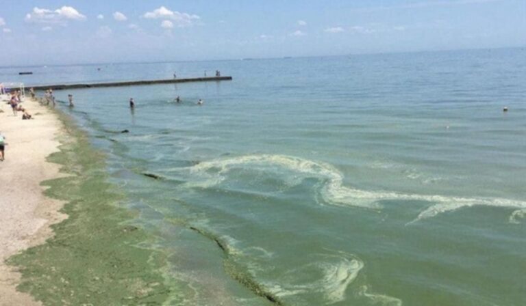 Betiltották a fürdést az odesszai strandokon