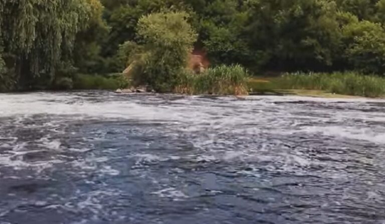 Férfi holttestet találtak a Tisza partján