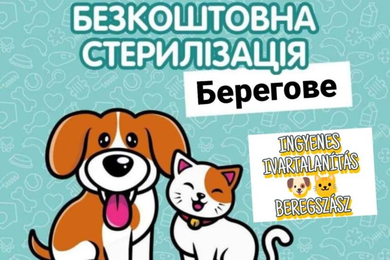 Ingyenesen ivartalanítják az állatokat Beregszászban
