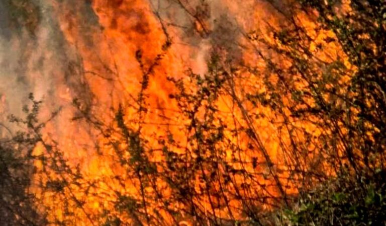 Magas tűzveszély Kárpátalján