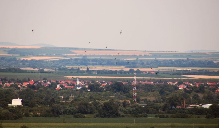 Avas Miskolc