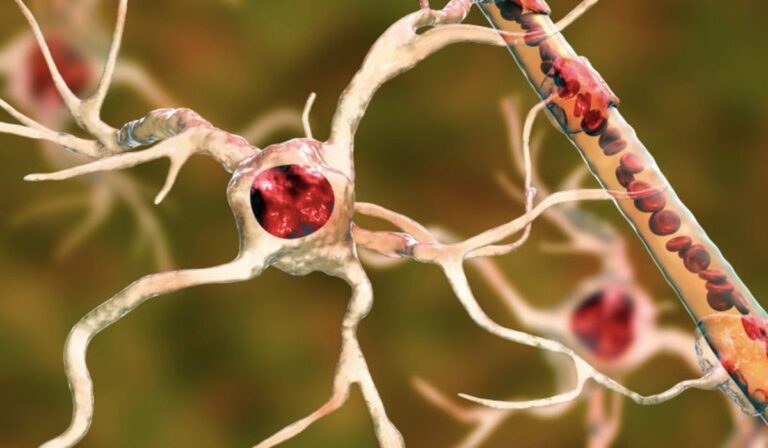 Válhat-e jóindulatú tumor rosszindulatú daganattá?