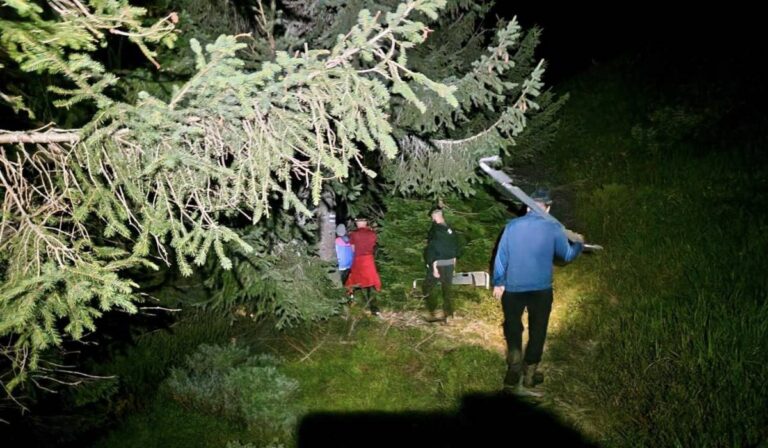 Rosszul lett egy lembergi turista a Horgas hegynél éjjel