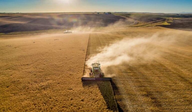 A mezőgazdasági ágazat csak egyharmada működik teljes kapacitással
