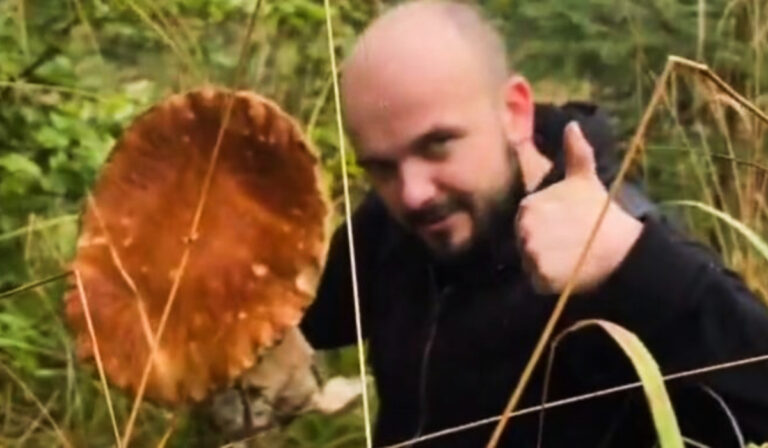 Óriásgombát találtak a Técsői járásban