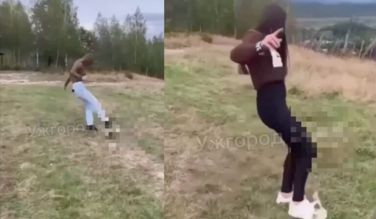 Kismacskákat kínzott két tizenéves Kárpátalján