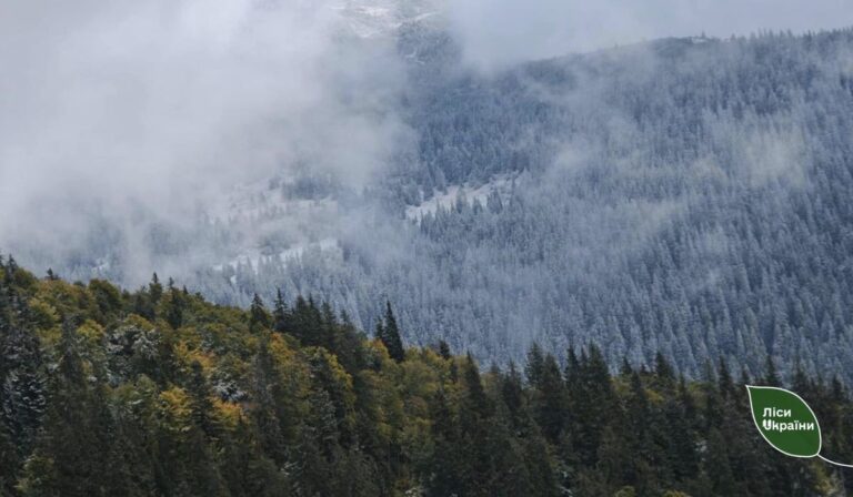 ősz tél Csornahora