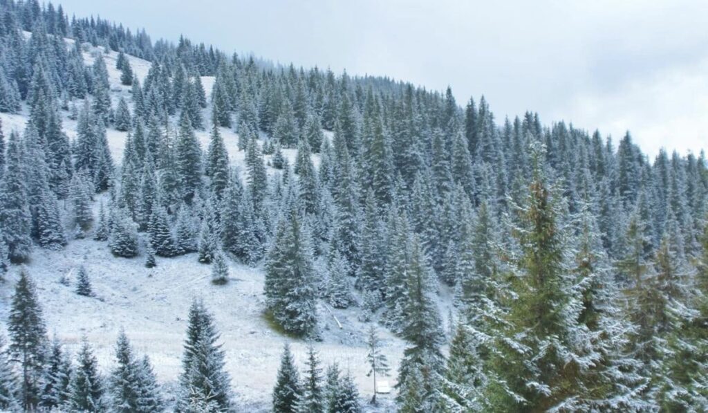 ősz tél Csornahora