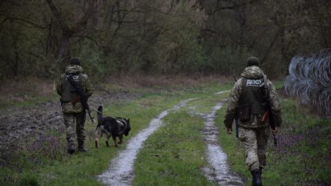 határ határőrség kutya