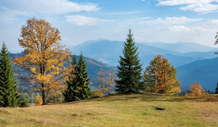 Kárpáti bioszféra-rezervátum.