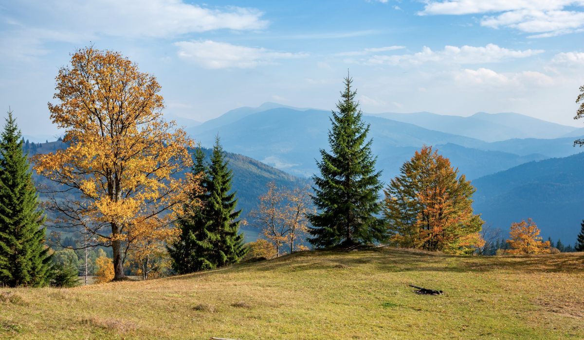 Kárpáti bioszféra-rezervátum.