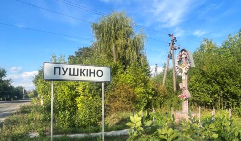 Puskino átnevezését kérelmezte Fegyir Sándor
