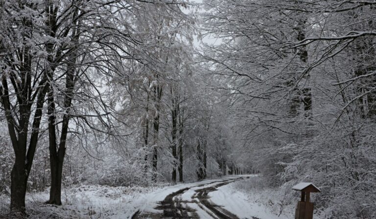 De jó volna otthon ünnepelni!