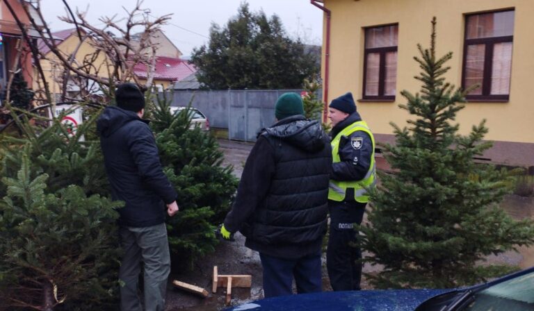 Ellenőrzik a fenyőfaárusokat a Beregszászi járásban