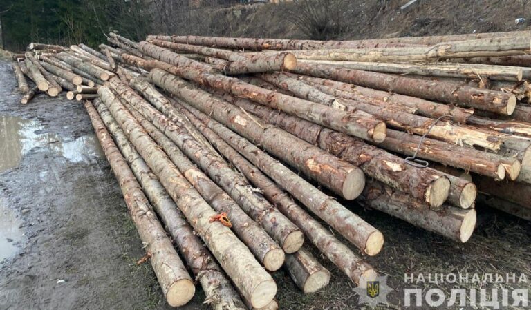 Több mint 40 köbméter illegálisan kivágott fát foglaltak le Kárpátalján