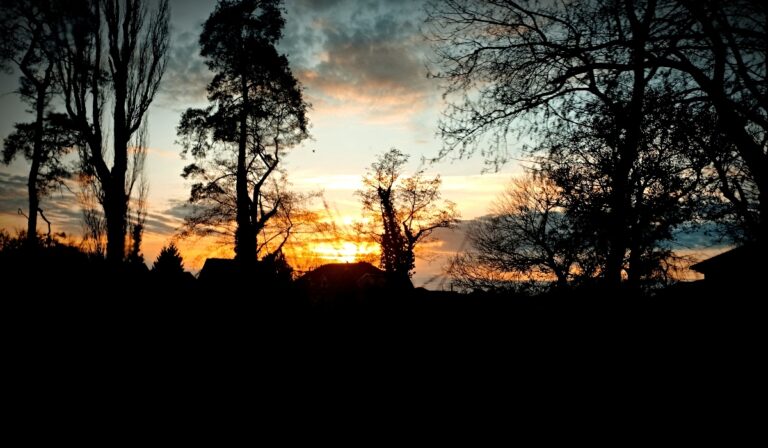 Csontos Márta: Mit számít…