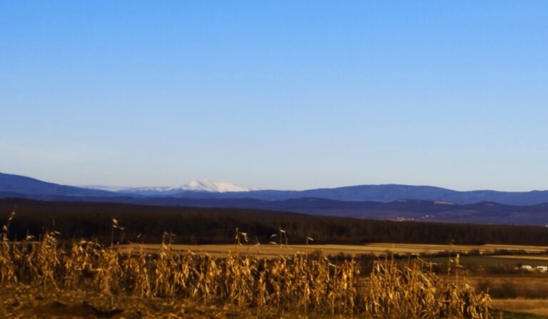 Petőfi Sándor: A hegyek között