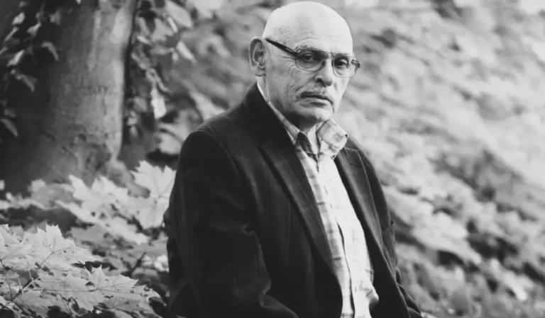 Szilágyi István erdélyi magyar íróra emlékezik a közmédia