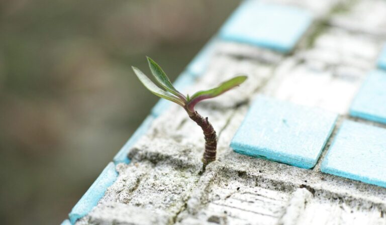 Örök reménységben