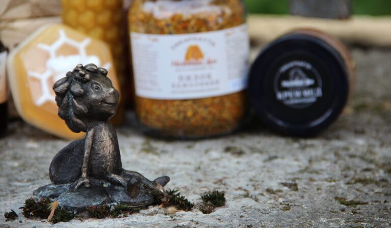 Miniszobrot kapott Ungváron Maja, a méhecske