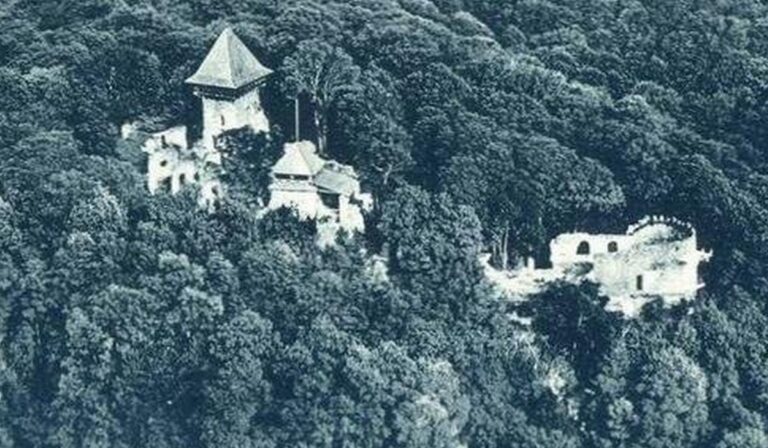 Kárpátalja anno: vers a nevickei várról