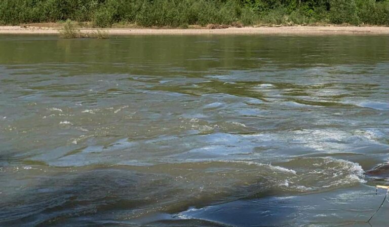 Tisza