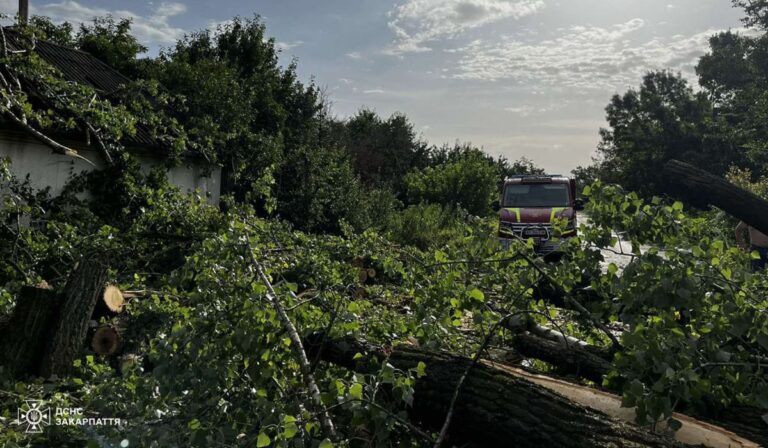 DSZNSZ: áramszünetek és károk a vihar után