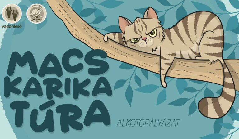 Macskarikatúra – pályázati kiírás