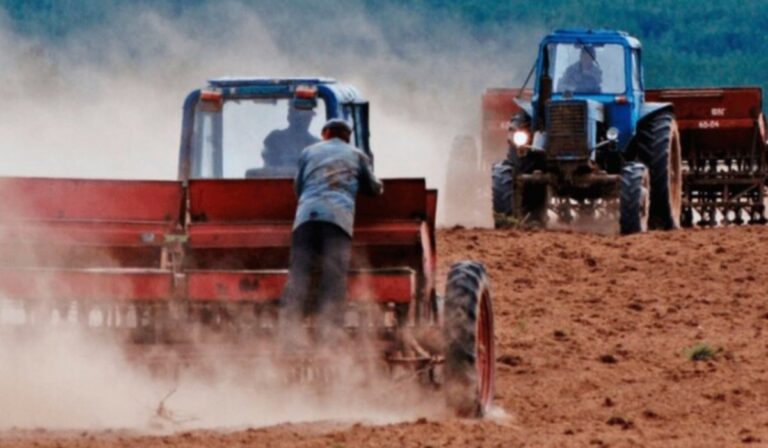 A FAO elismerésben részesíti a fiatal gazdákat