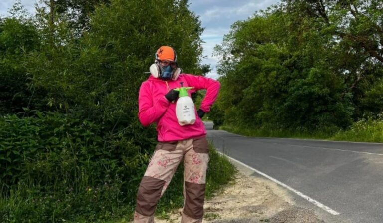 Kárpátalja ma: egyedül a medvetalp ellen