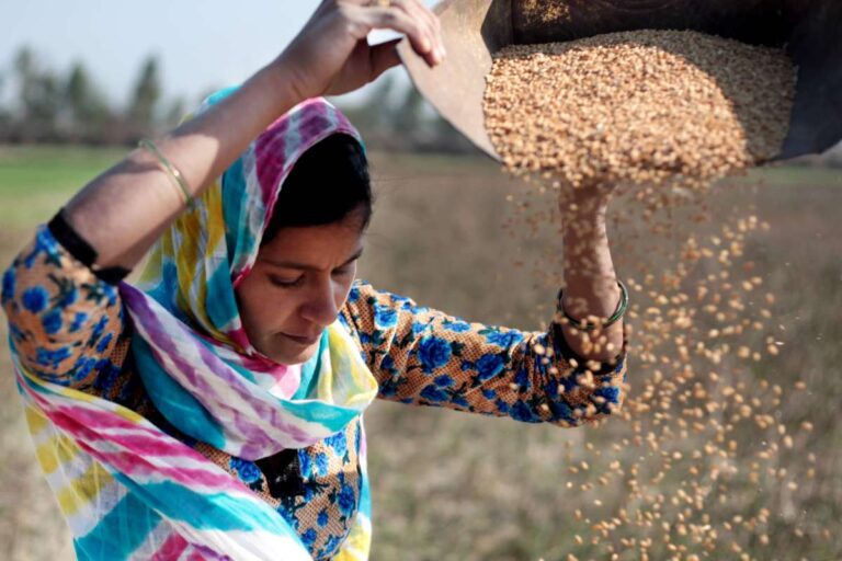 A súlyosbodó válságok három éve magasan tartják az éhezők számát 