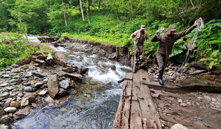 Gátakat bontanak el a Tisza felső folyásánál