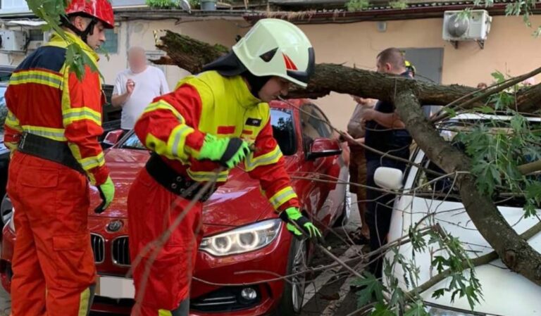 Parkoló autókra dőlt egy faág Ungváron