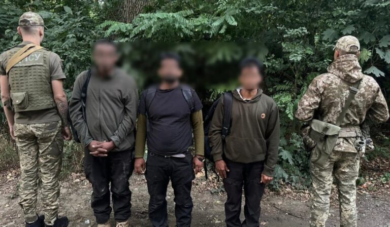 Külföldi határsértőket vettek őrizetbe a szlovák határ közelében