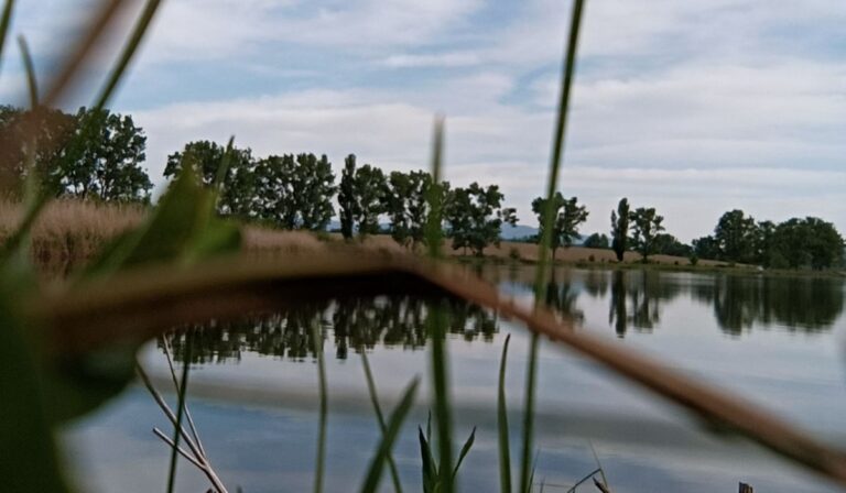 Fornosi halastó