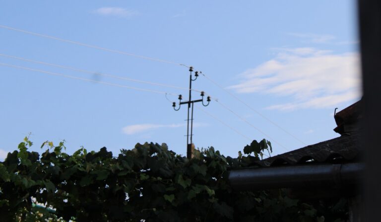 szőlő villanyoszlop