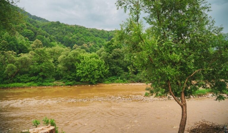 Újabb holttestet találtak a Tiszában