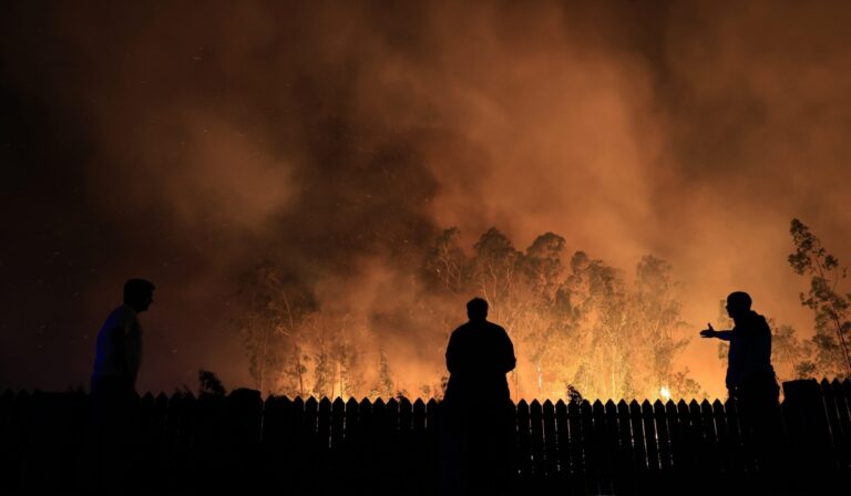 Portugáliában többtucatnyi helyen erdőtűz pusztít