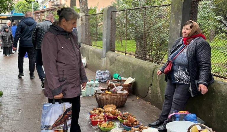 Gombaszezon Kárpátalján: mennyibe kerül kilója?