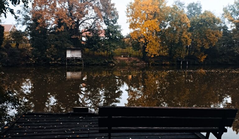Móra Ferenc: Kertem alján