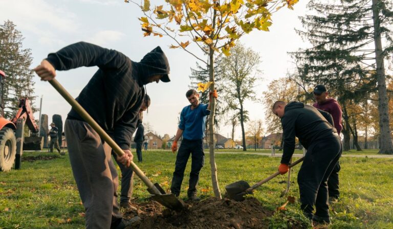Faültetés a munkácsi emlékparkban