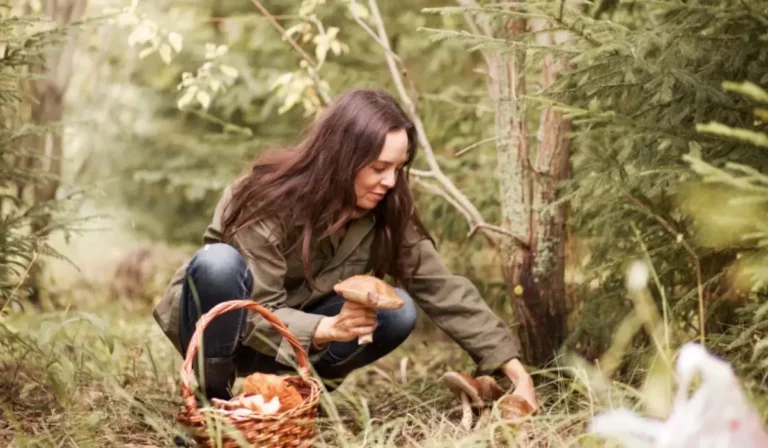 Hogyan kerülhetjük el a gombamérgezést?