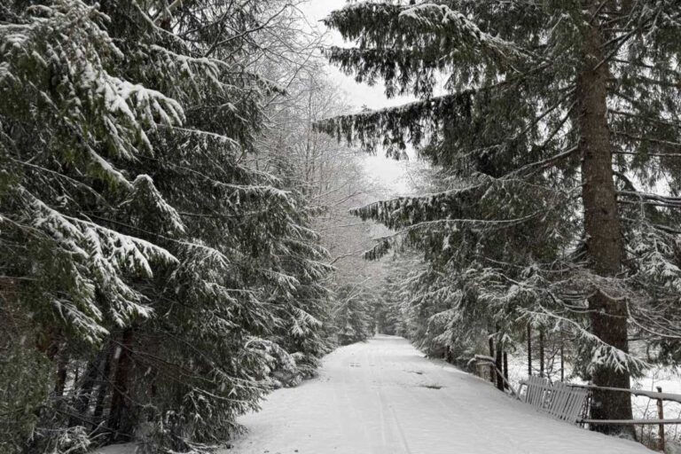 Hó borítja a Szinevéri Nemzeti Parkot