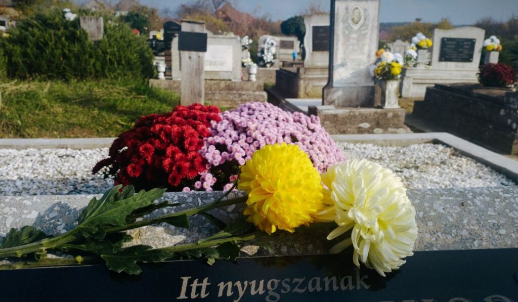 Beregújfalu, temető. Nyitókép: Kárpátalja.ma