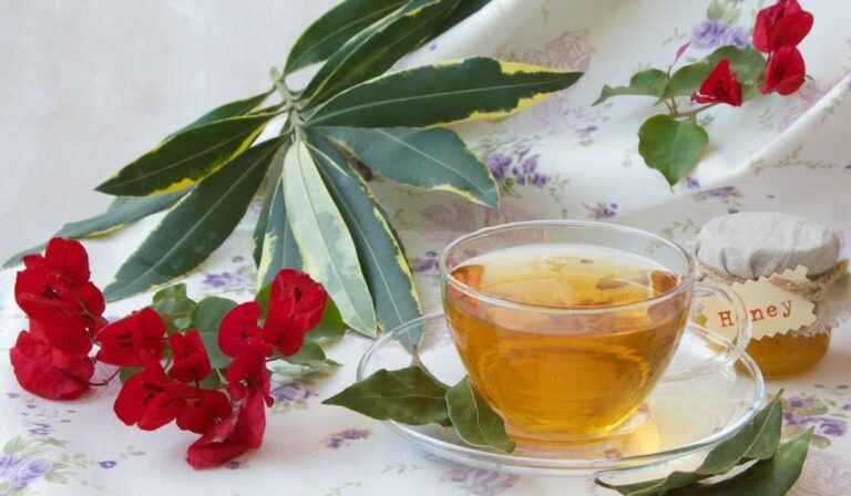 babérlevél tea