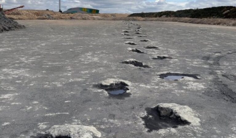 Felfedezték az eddig legnagyobb brit dinoszaurusznyom-lelőhelyet