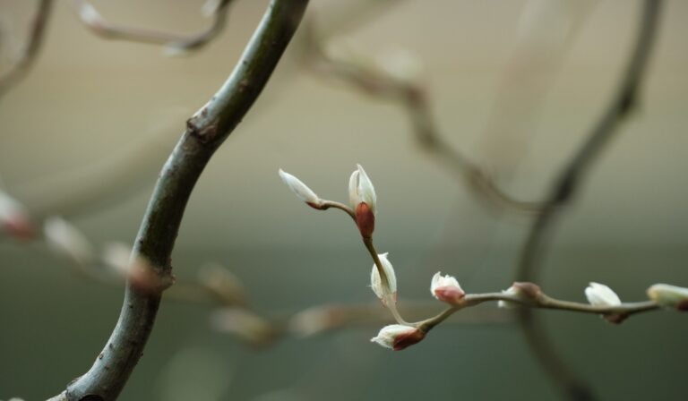 Új év, ugyanaz az Isten