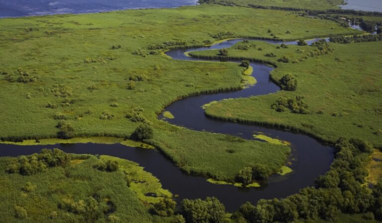 Duna-delta Románia