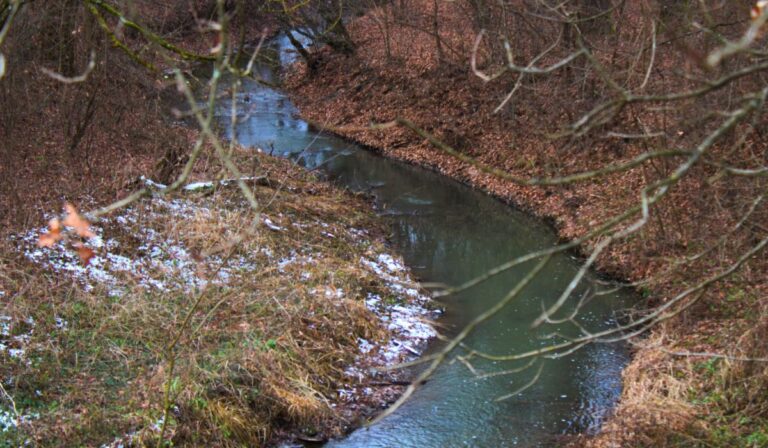 Mérce-patak Beregújfalu